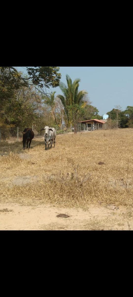 Lote, Fernao Dias, 0 Quarto, 0 Vaga