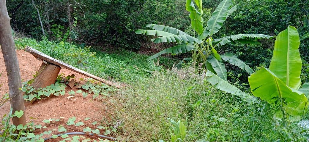 Fazenda, Zona Rural, 1 Quarto, 0 Vaga