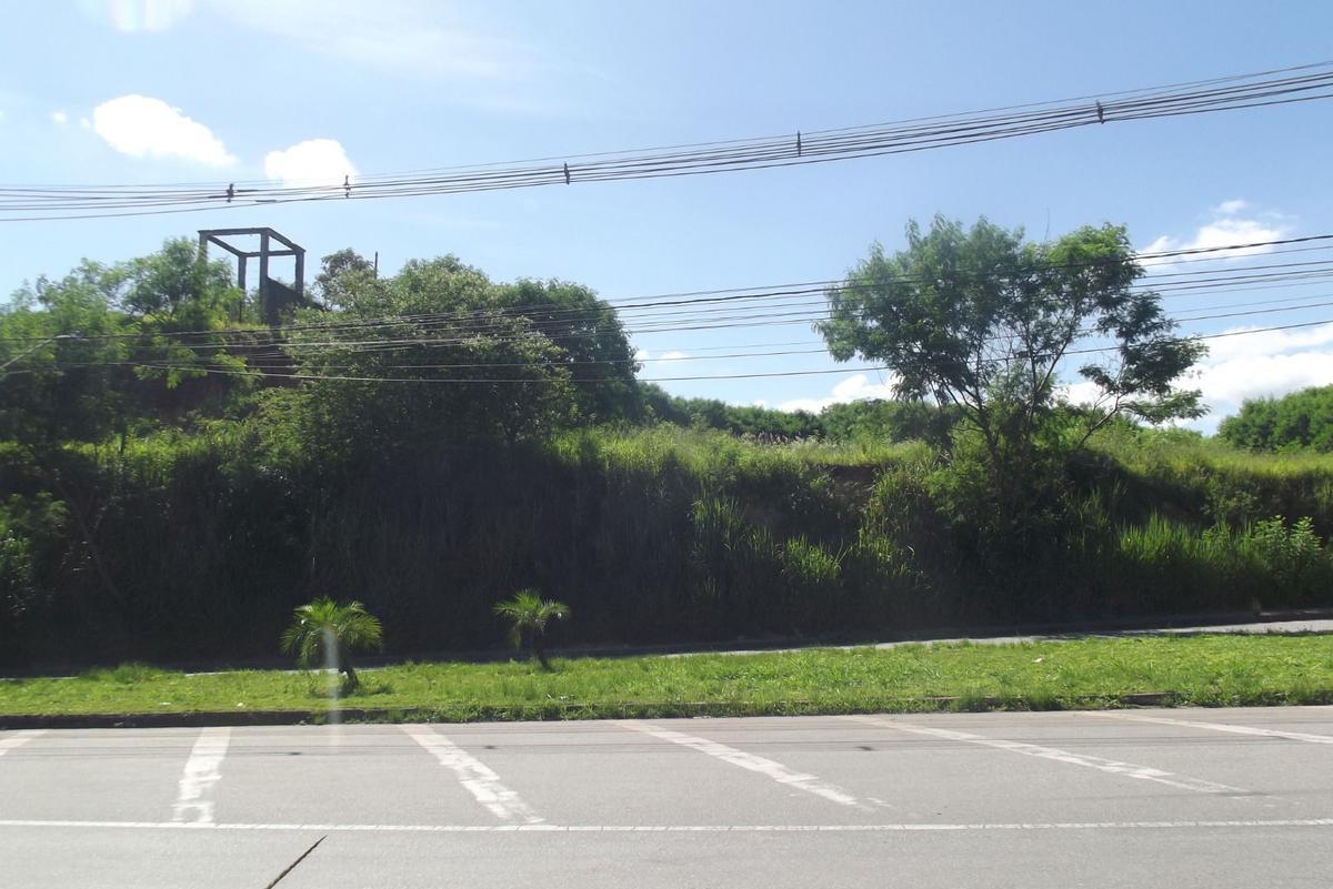 Lote, Vila Olga, 0 Quarto, 0 Vaga