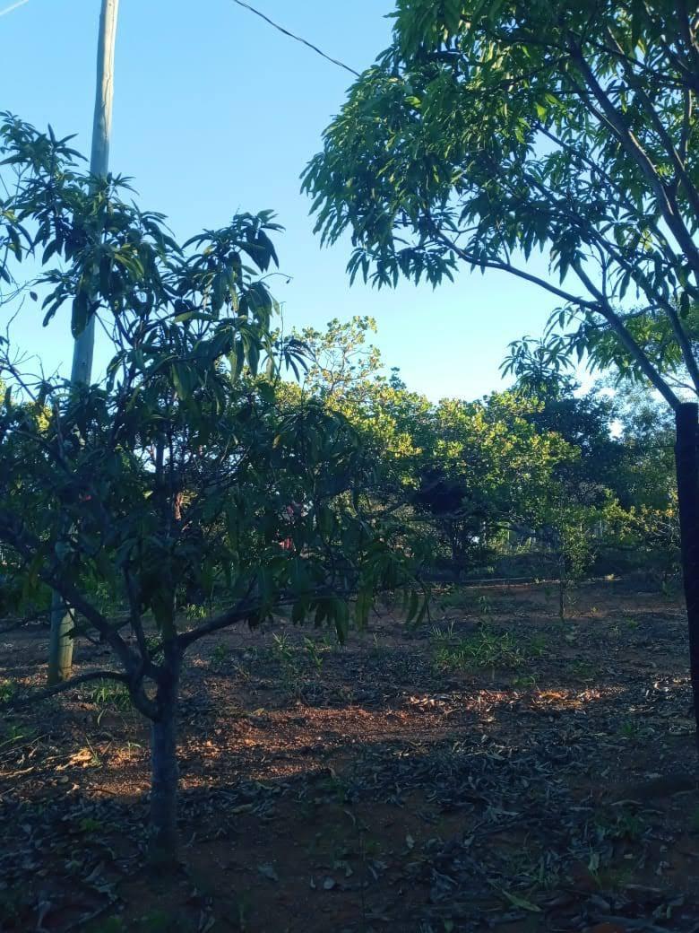Lote, Zona Rural, 0 Quarto, 0 Vaga