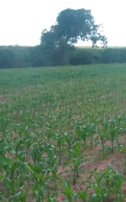 Fazenda, Zona Rural, 0 Quarto, 0 Vaga