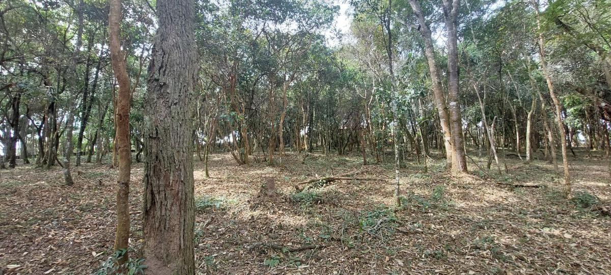 Lote, Acurui, 0 Quarto, 0 Vaga