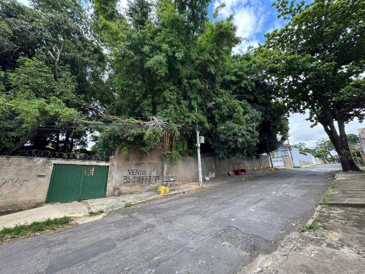 Lote, São Luiz (pampulha), 0 Quarto, 0 Vaga