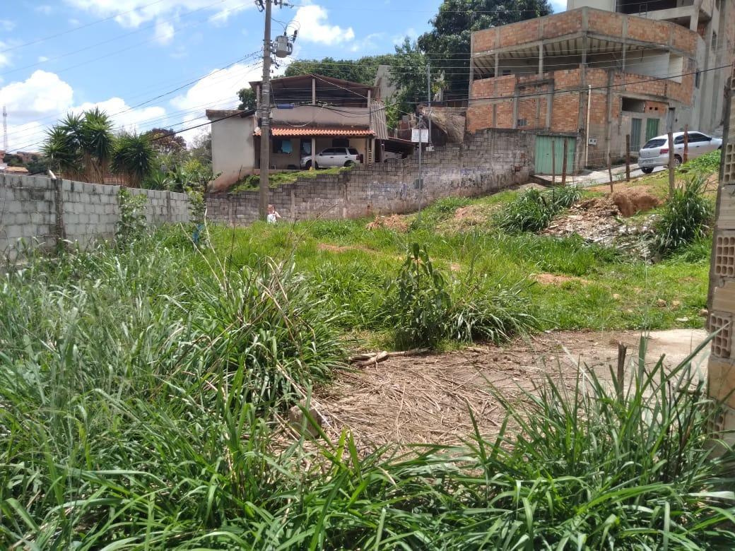 Lote, Novo Horizonte, 0 Quarto, 0 Vaga
