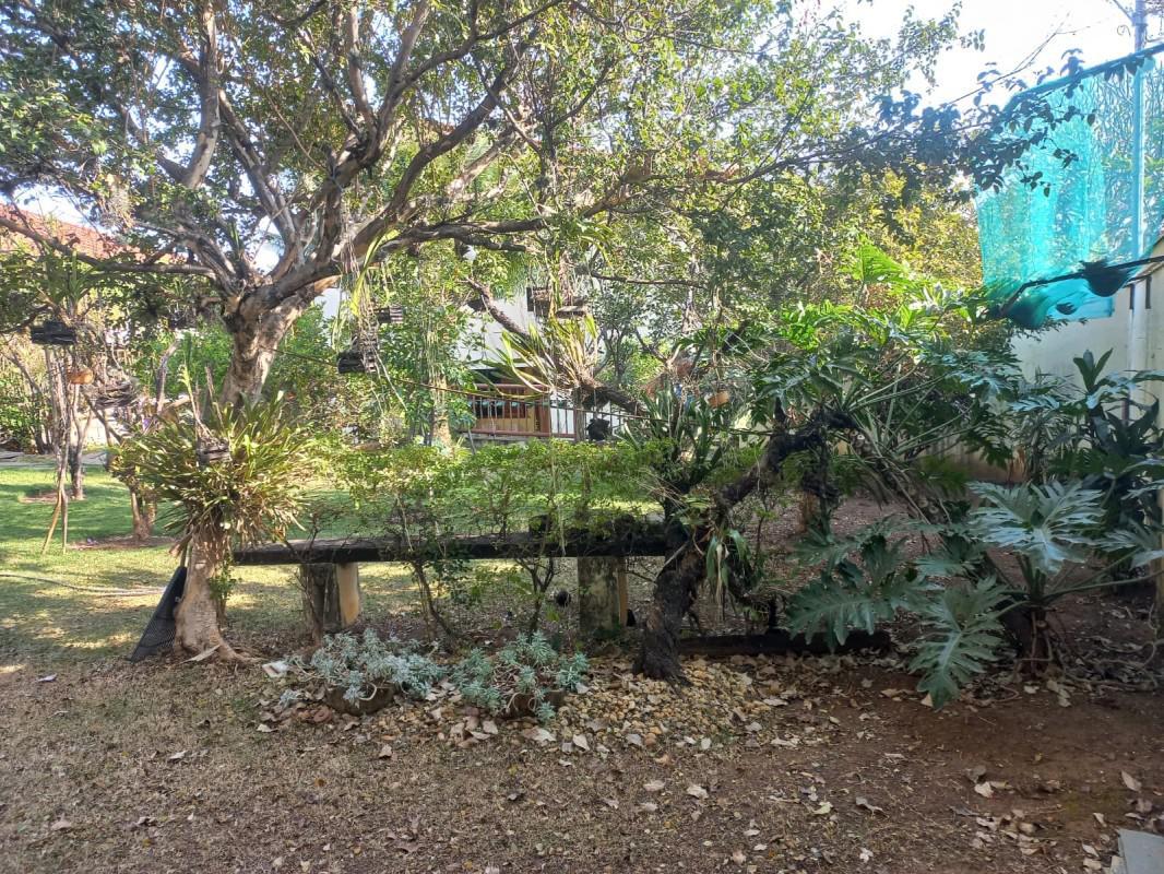 Lote, Itapoã, 1 Quarto, 4 Vagas, 1 Suíte