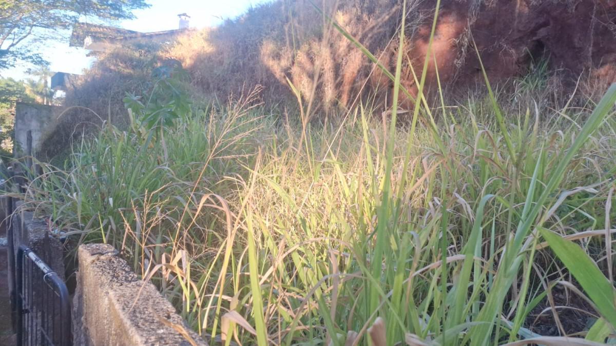 Lote, Santa Lúcia, 0 Quarto, 0 Vaga