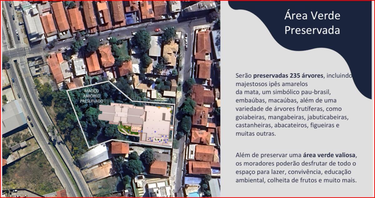 Cobertura, Santa Amélia, 3 Quartos, 2 Vagas, 1 Suíte