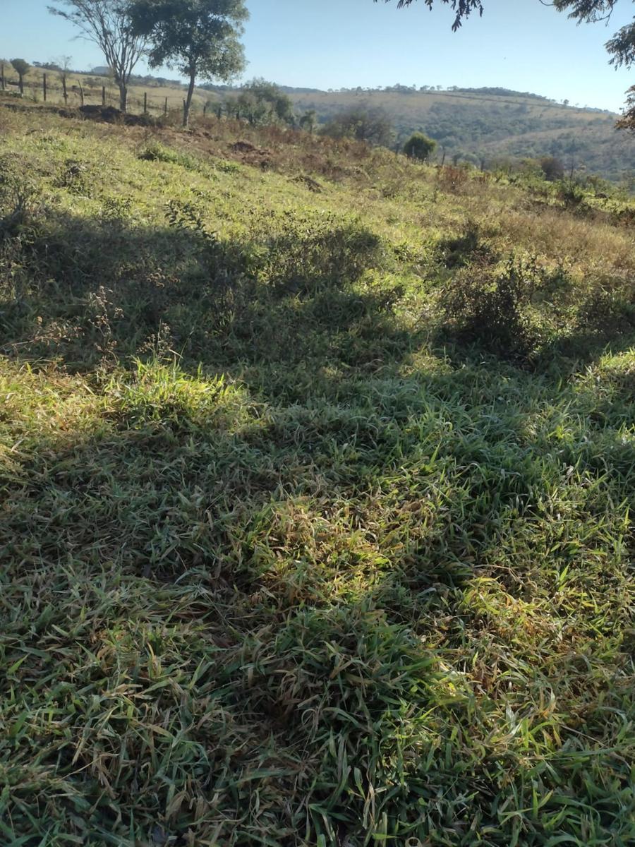 Fazenda, Centro, 1 Quarto, 0 Vaga