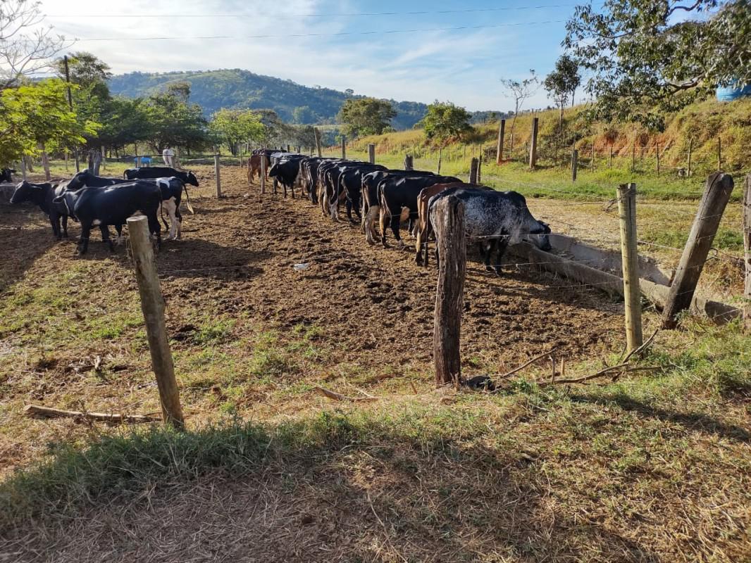 Fazenda, Zona Rural, 4 Quartos, 2 Vagas