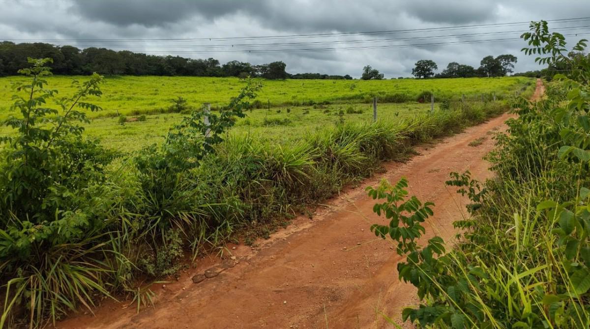 Fazenda, Zona Rural, 5 Quartos, 0 Vaga