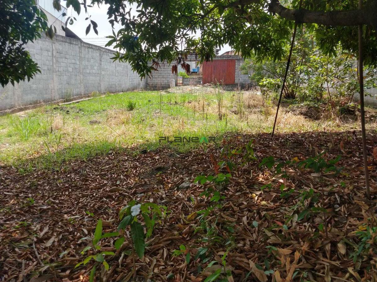 Lote, Regina, 0 Quarto, 0 Vaga