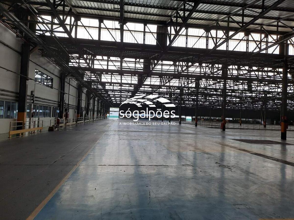 Galpão, Universitário