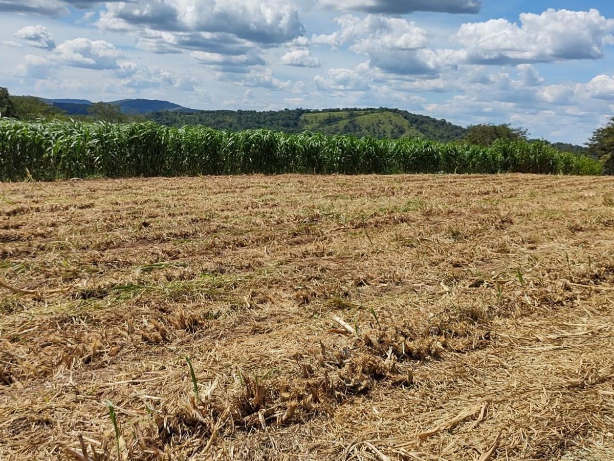 Fazenda, Zona Rural, 4 Quartos, 2 Vagas