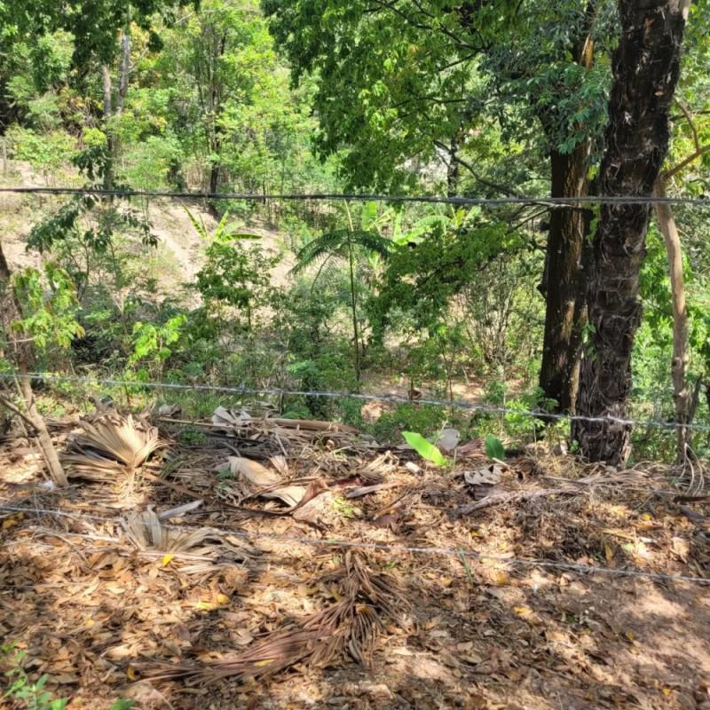 Lote, Bom Repouso, 0 Quarto, 0 Vaga