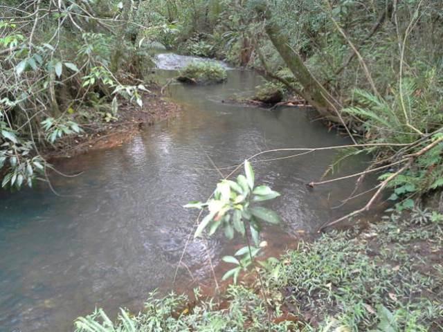 Fazenda, Centro, 1 Quarto, 0 Vaga