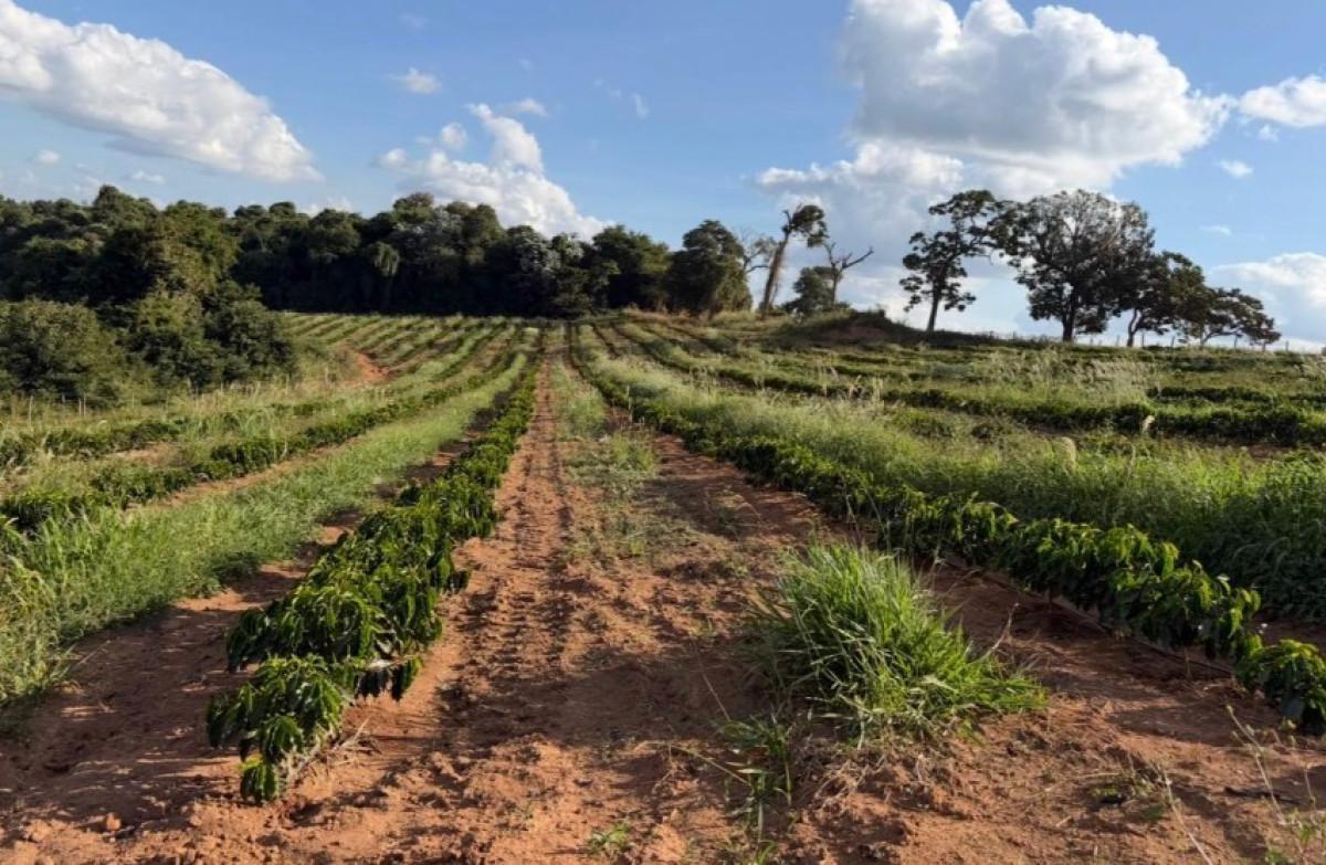 Fazenda, Zona Rural, 0 Quarto, 0 Vaga