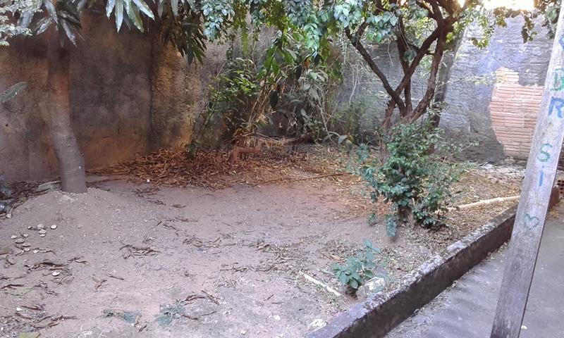 Casa, Conjunto Confisco, 2 Quartos, 1 Vaga