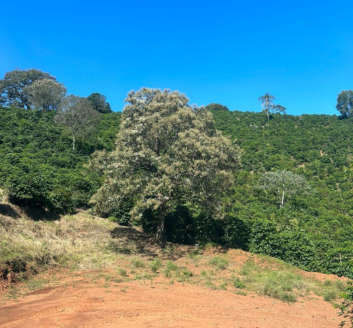 Fazenda, Zona Rural, 1 Quarto, 0 Vaga