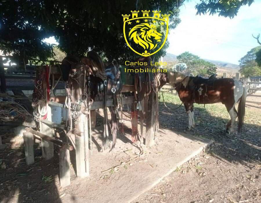 Fazenda, Centro, 3 Quartos, 4 Vagas, 1 Suíte