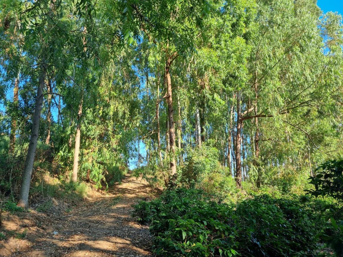 Fazenda, Zona Rural, 0 Quarto, 0 Vaga