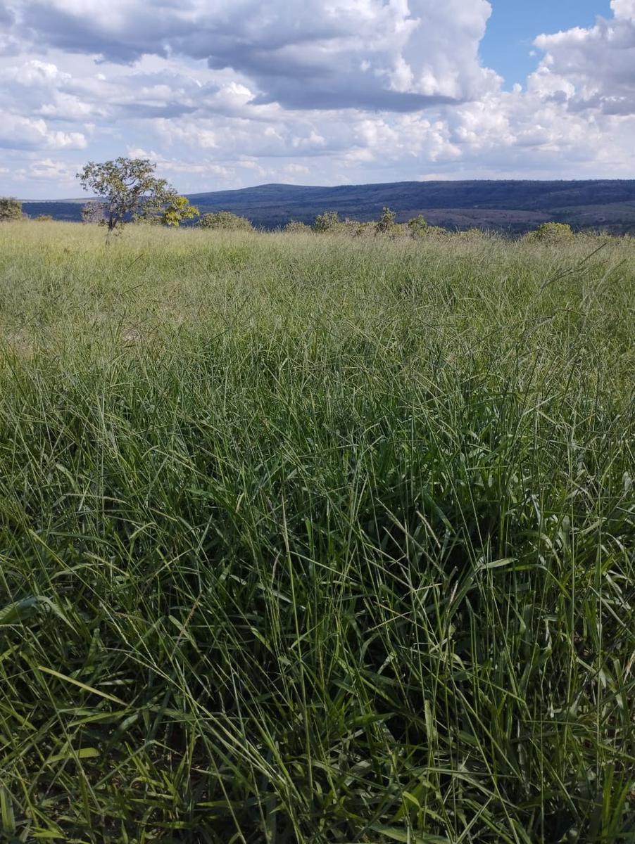 Fazenda, Zona Rural, 3 Quartos, 0 Vaga