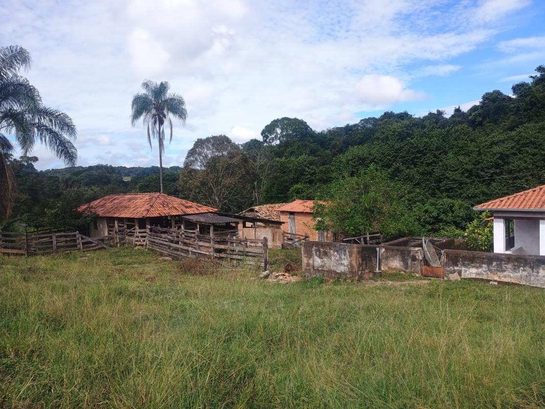 Fazenda, Centro, 0 Quarto, 0 Vaga