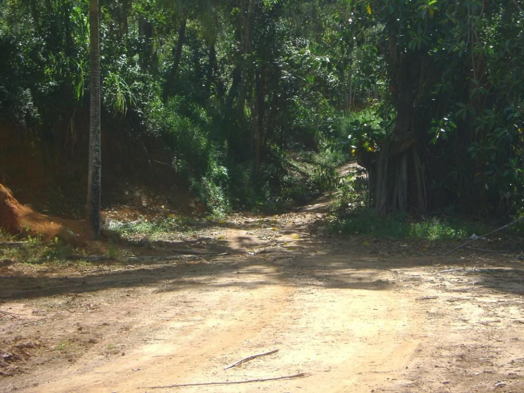 Fazenda, Centro, 3 Quartos, 1 Vaga