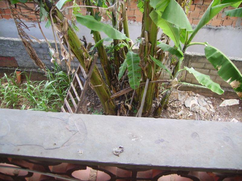 Casa, Jardim Guanabara, 4 Quartos, 4 Vagas, 1 Suíte