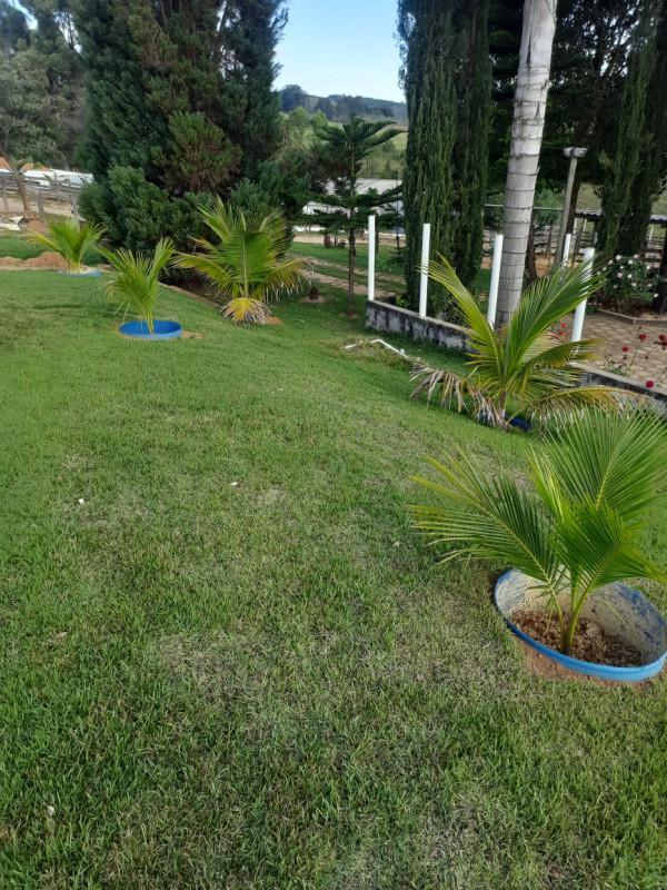 Fazenda, Centro, 4 Quartos, 0 Vaga