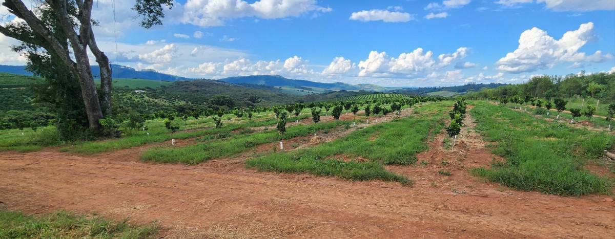 Fazenda, Zona Rural, 3 Quartos, 0 Vaga