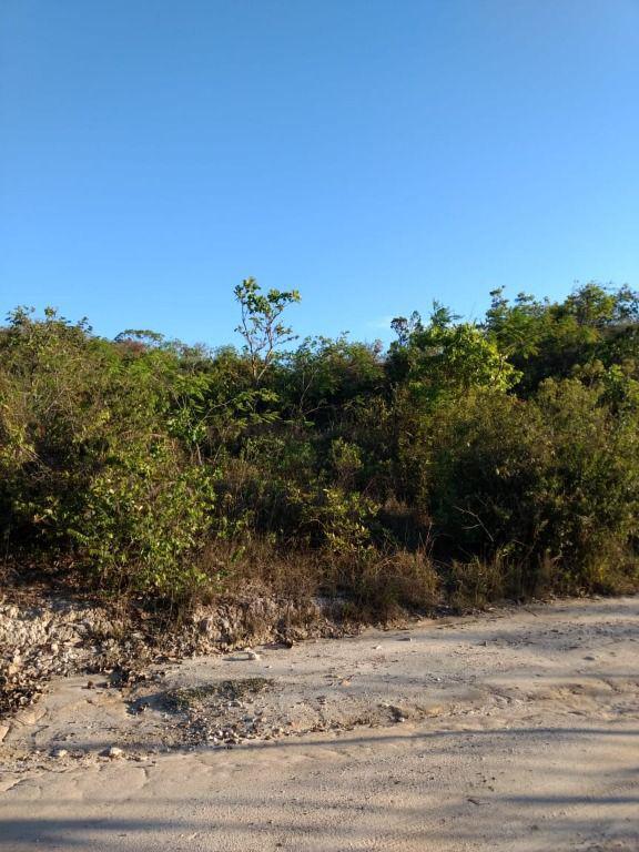 Lote, Ravena, 0 Quarto, 0 Vaga