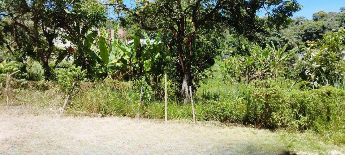 Lote, Solar do Madeira, 0 Quarto, 0 Vaga
