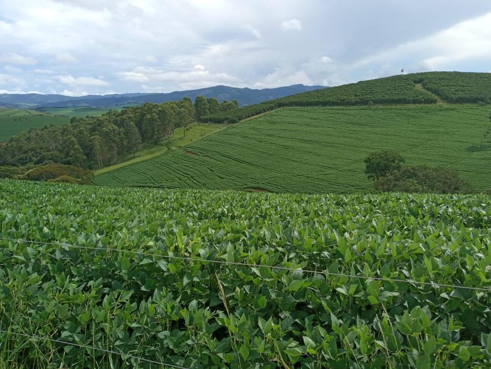 Fazenda, Zona Rural, 6 Quartos, 0 Vaga, 2 Suítes