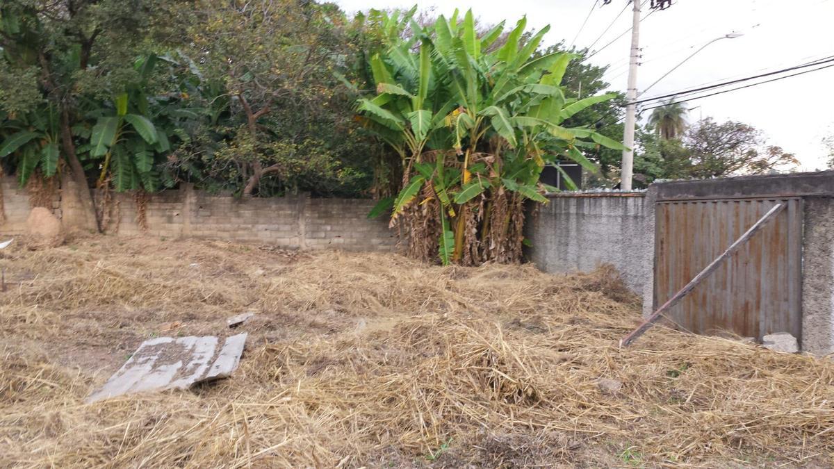 Lote, Copacabana