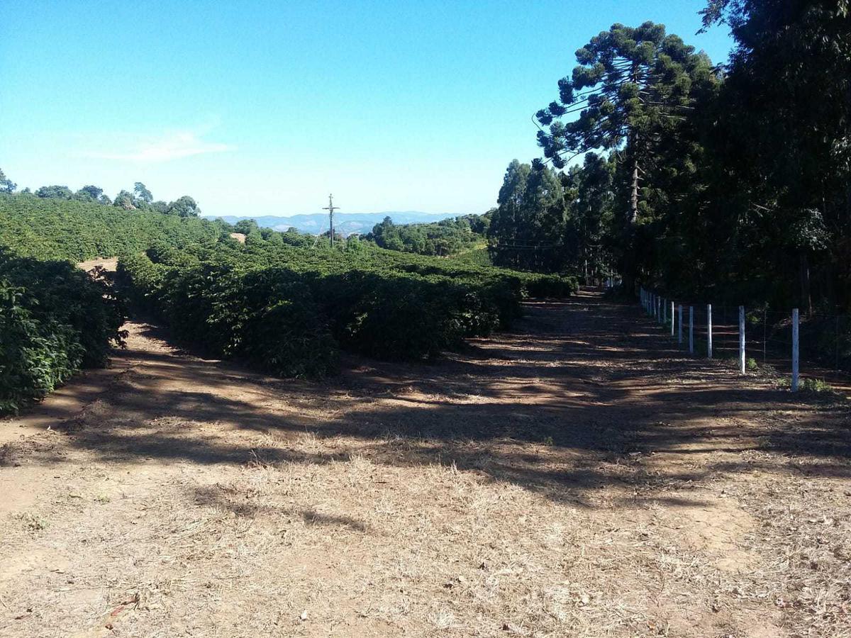 Fazenda, Centro, 3 Quartos, 1 Vaga, 1 Suíte