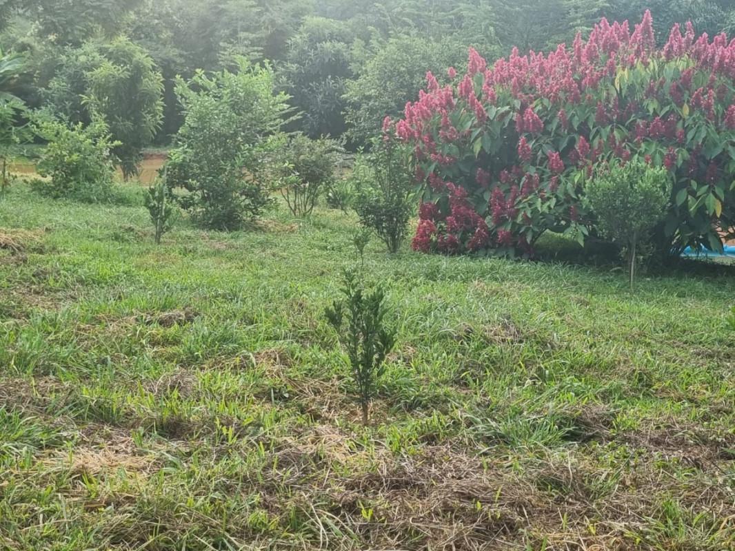 Fazenda, Zona Rural, 0 Quarto, 0 Vaga
