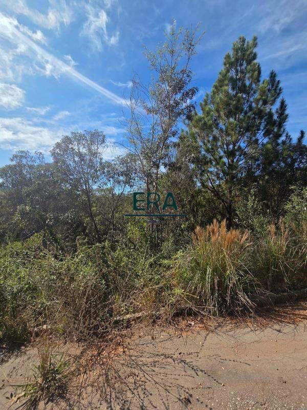 Lote, Village Sans Souci, 0 Quarto, 0 Vaga