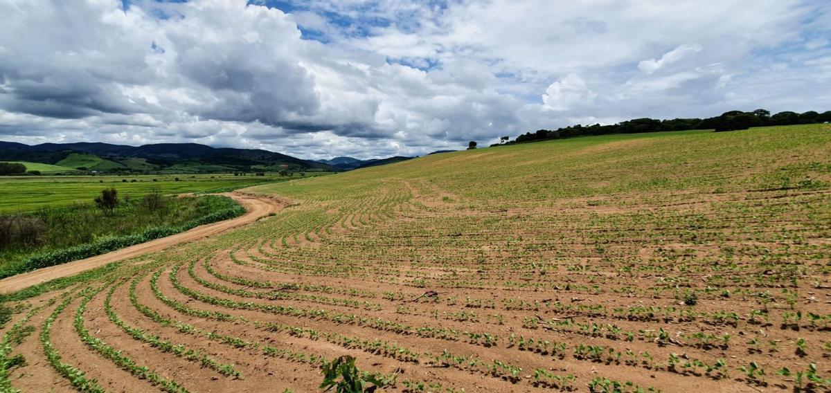 Fazenda, Centro, 1 Quarto, 1 Vaga, 1 Suíte