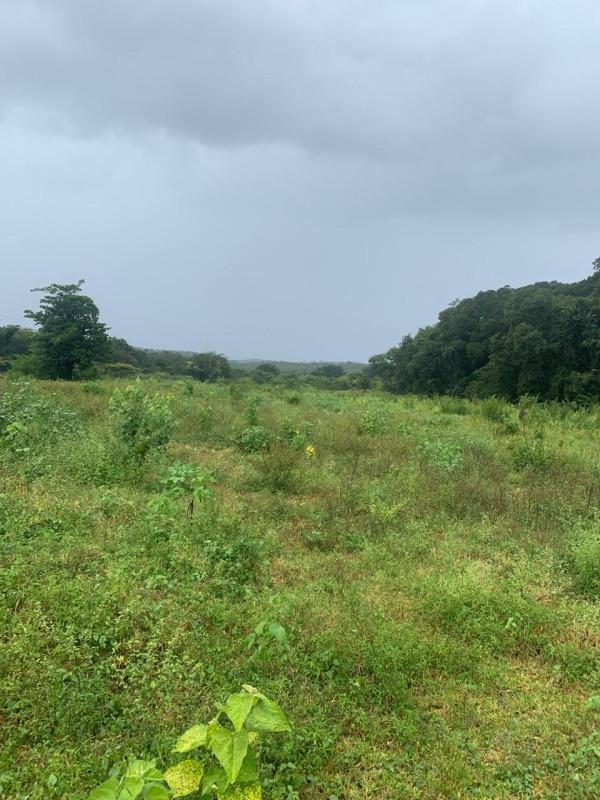 Fazenda, Zona Rural, 0 Quarto, 0 Vaga