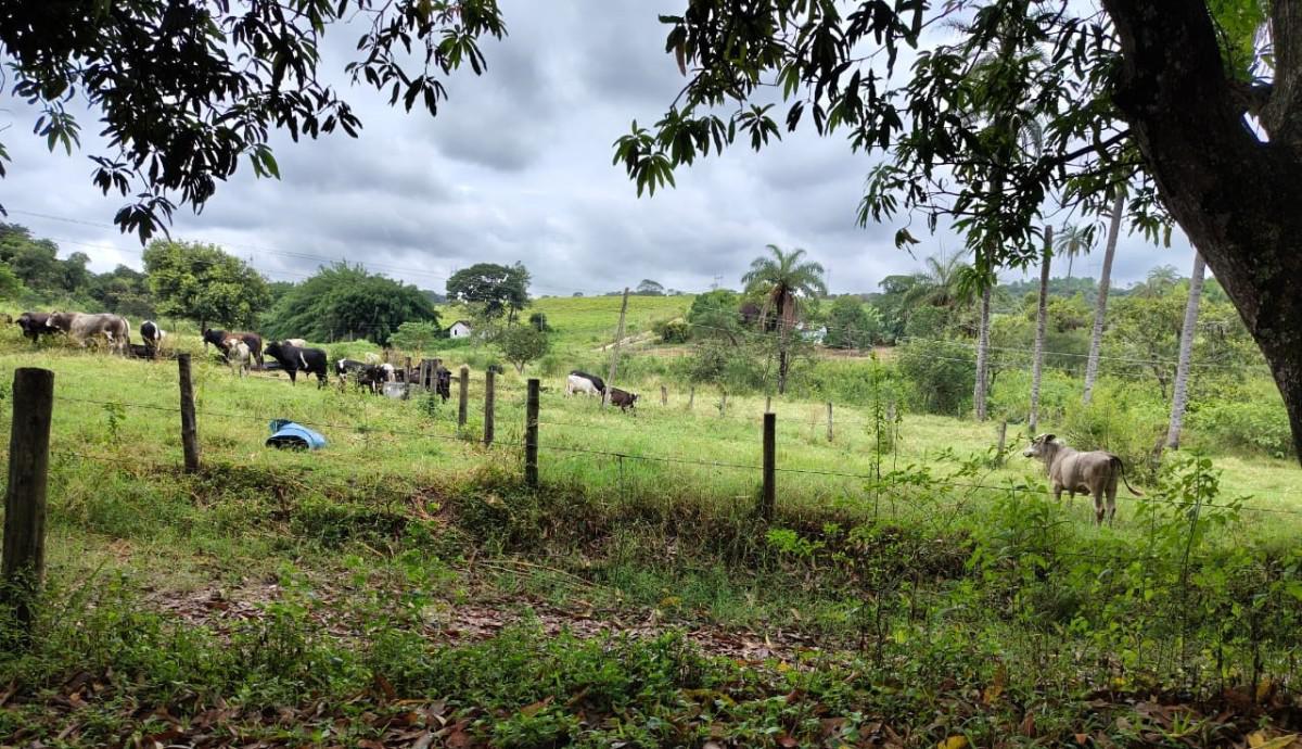 Fazenda, Zona Rural, 5 Quartos, 0 Vaga