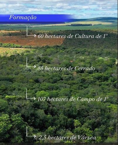 Fazenda, Centro, 0 Quarto, 0 Vaga