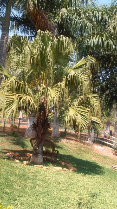 Fazenda, Zona Rural, 0 Quarto, 0 Vaga