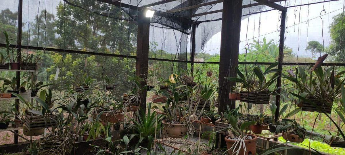 Casa, Jardim Europa, 5 Quartos, 5 Vagas, 1 Suíte