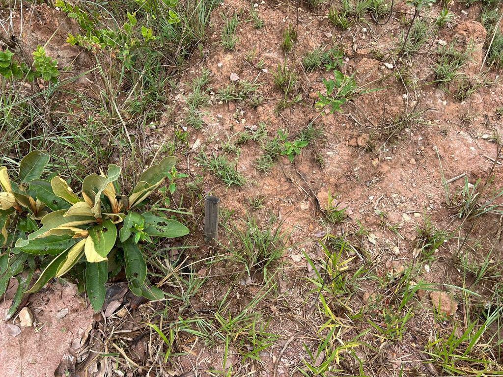 Lote, Santo Antônio (roça Grande), 0 Quarto, 0 Vaga