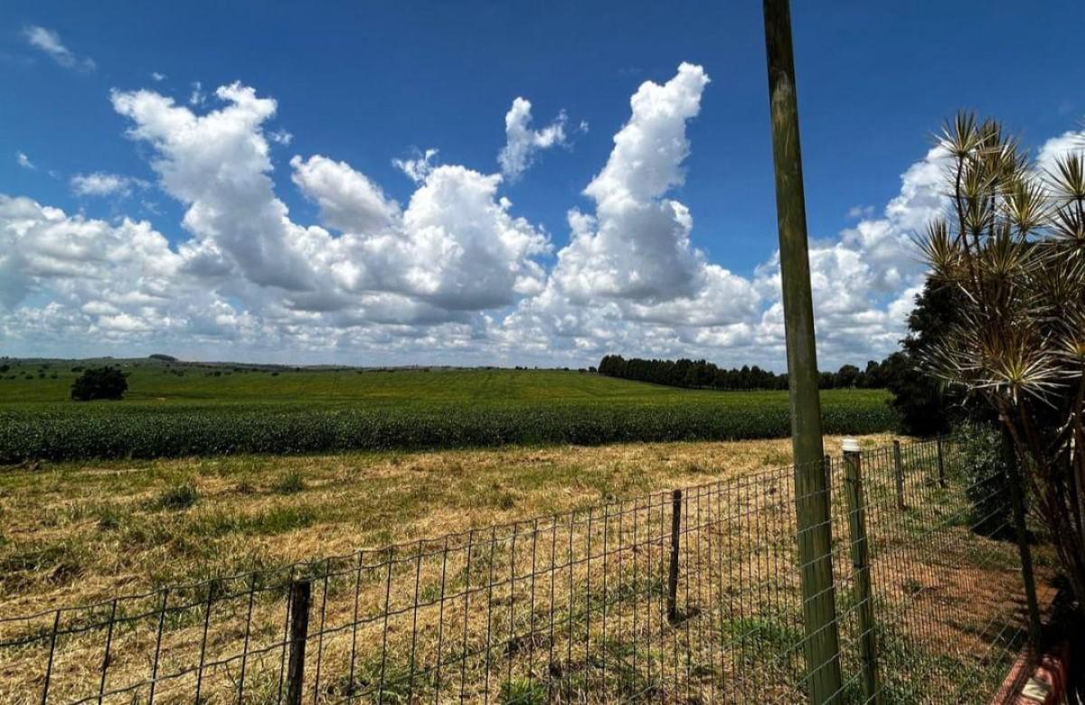 Fazenda, Centro, 0 Quarto, 0 Vaga