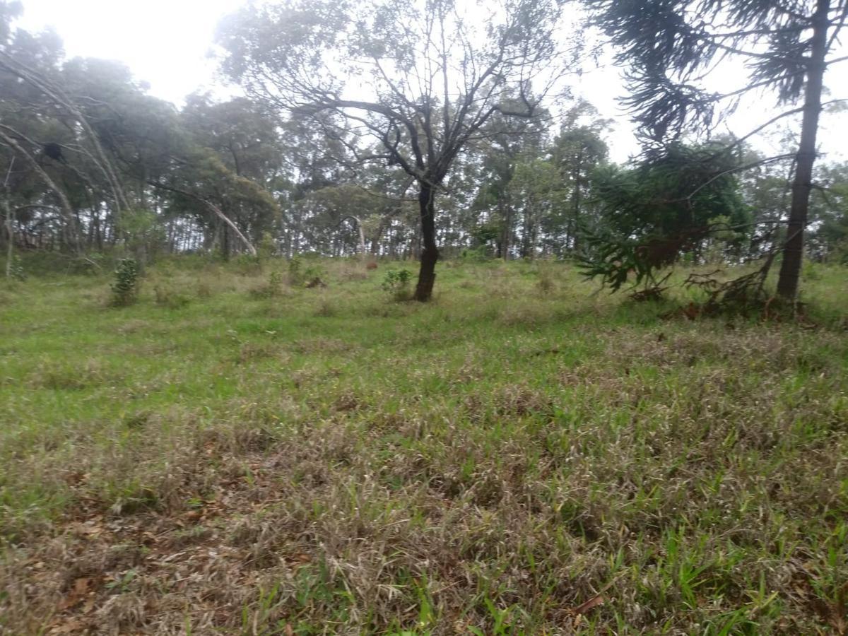 Fazenda, Zona Rural, 3 Quartos, 0 Vaga