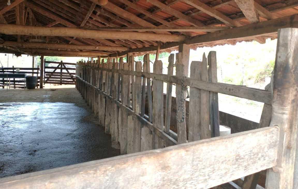 Fazenda, Zona Rural, 3 Quartos, 0 Vaga