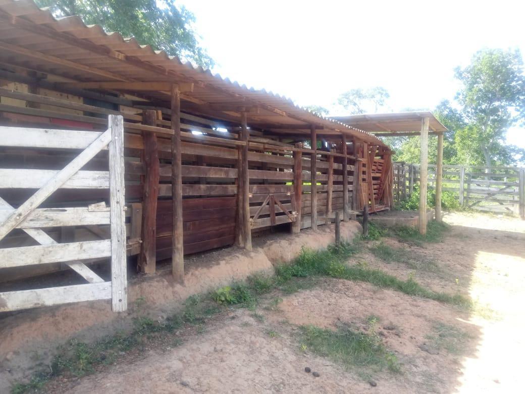 Fazenda, Zona Rural, 0 Quarto, 0 Vaga