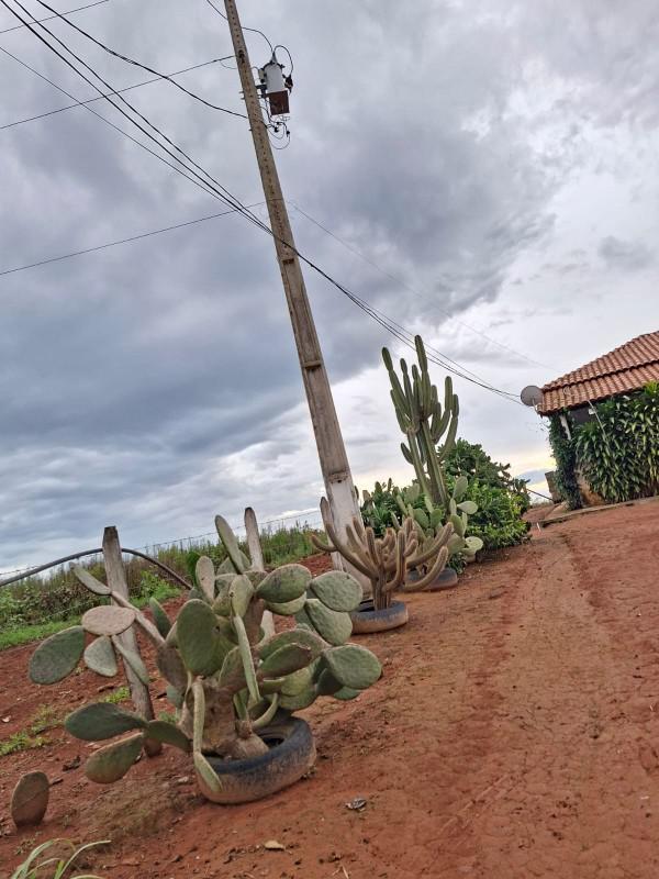 Fazenda, Zona Rural, 0 Quarto, 0 Vaga