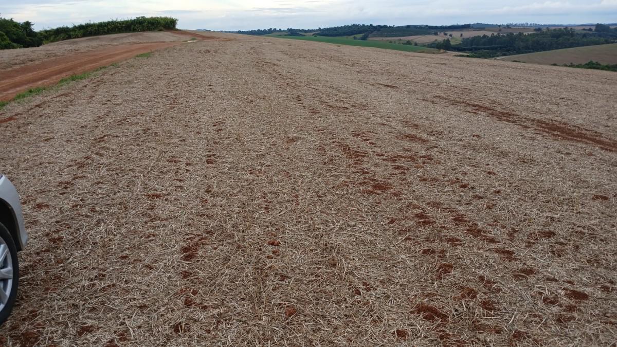 Fazenda, Centro, 0 Quarto, 0 Vaga